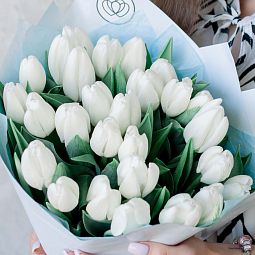 Мини-букет  из 25 белых тюльпанов