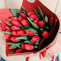 Мини-букет  из 25 красных тюльпанов