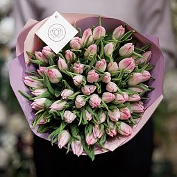 Большой букет  из 51 нежно-розового тюльпана