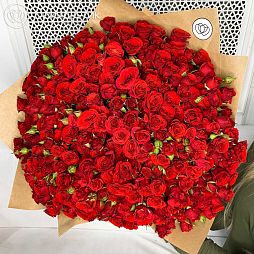 Букет из 101 красной кустовой розы 40 см (Кения)