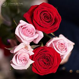 Букет из 5 красных и розовых роз 50 см (Эквадор)