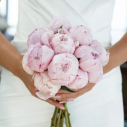 Мини-букет Свадебный  из 15 розовых пионов Premium