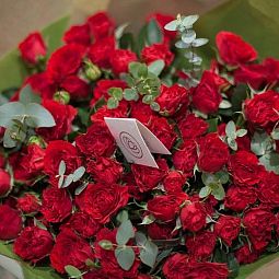 Роза пионовидная кустовая (Эквадор) 40 см Bella Lindo Brick Красная поштучно