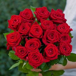 Траурный букет из 16 красных роз 60 см (Россия)
