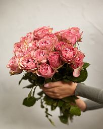 Роза пионовидная одноголовая 40 см Love Me Tender Розовая поштучно
