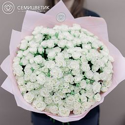 Букет из 101 белой кустовой розы 40 см (Кения)