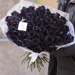 Букет из 51 черной розы 60 см (Эквадор)