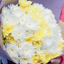 Мини-букет  из 15 желтых и белых кустовых хризантем
