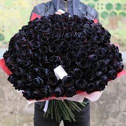 Букет из 101 черной розы 60 см (Эквадор)