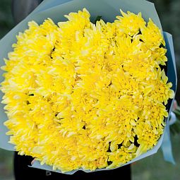 Мини-букет  из 15 желтых кустовых хризантем
