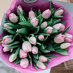 Мини-букет  из 25 нежно-розовых тюльпанов