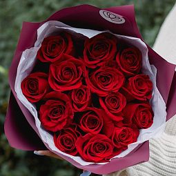 Букет из 15 красных роз Freedom 50 см (Эквадор)