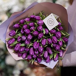 Большой букет  из 51 фиолетового тюльпана