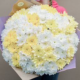 Мини-букет  из 25 желтых и белых кустовых хризантем
