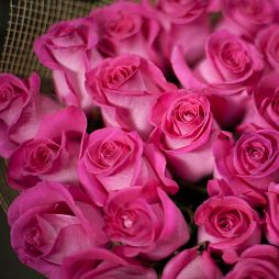 Букет из 5 ярко-розовых розовых роз Topaz 60 см (Эквадор)