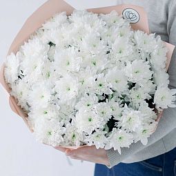 Мини-букет  из 15 белых кустовых хризантем