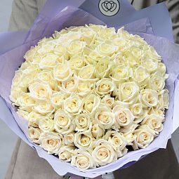 Букет из 75 белых роз 35-40 см (Россия)