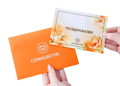 Повод