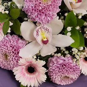 Букет из орхидей, хризантем и гербер в сиреневой пленке