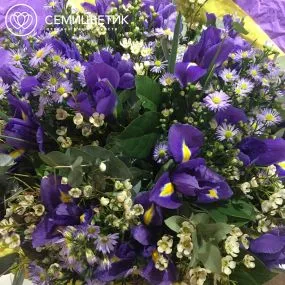 Букет из ирисов и астры в упаковке