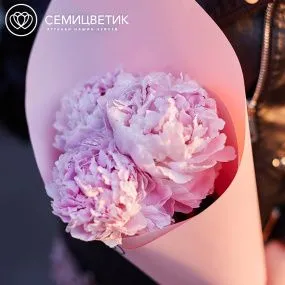 Букет из 3 розовых пионов Premium