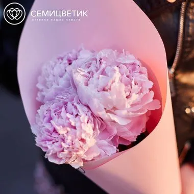 Букет из 3 розовых пионов Premium