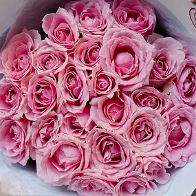 Букет из 25 нежно-розовых роз 60 см (Россия)