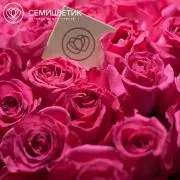 Букет из 19 розовых роз Topaz 50 см (Эквадор)