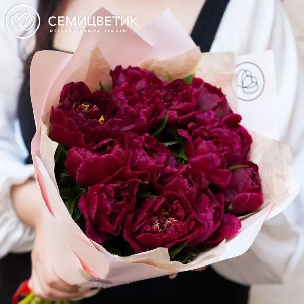 Букет из 15 бордовых пионов Standart Plus
