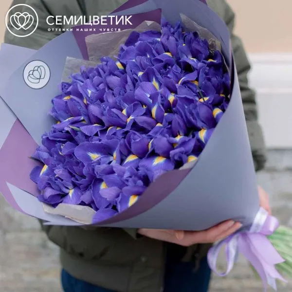 Букет из 51 синего ириса