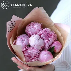 Букет из 7 розовых пионов Standart Plus в кремовой пленке