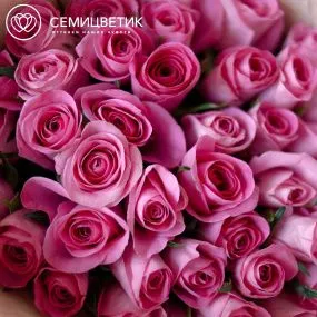 Букет из 41 розовой розы 35-40 см (Кения)