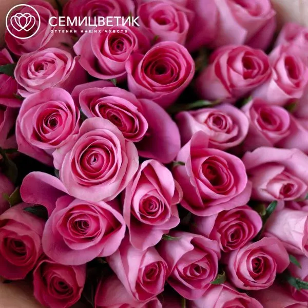 Букет из 41 розовой розы 35-40 см (Кения)
