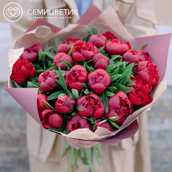 Букет из 25 бордовых пионов Standart