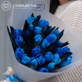 Букет из 25 тюльпанов Пандора