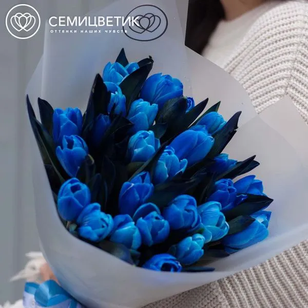 Букет из 25 тюльпанов Пандора
