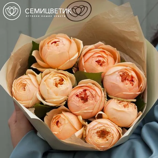 Букет из 9 кремовых пионовидных роз 60 см (Россия)