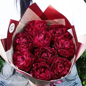 Букет из 9 бордовый пионов Old Faithful Standart Plus