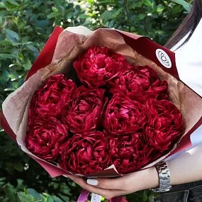 Букет из 9 бордовый пионов Old Faithful Standart Plus