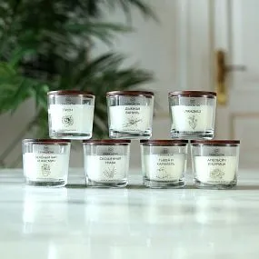 Свеча ароматическая Семицветик Апельсин и корица 100 мл