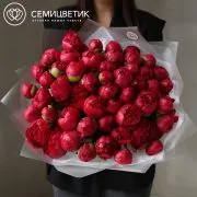 Букет из 15 ярко-розовых пионов Command Performance Premium