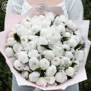 Букет из 25 нежно-розовых пионов Standart