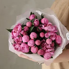 Букет из 25 ярко-розовых пионов Standart Plus
