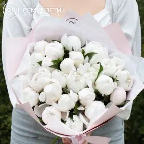 Букет из 25 нежно-розовых пионов Standart