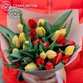 Букет из 25 желтых и красных тюльпанов 40 см