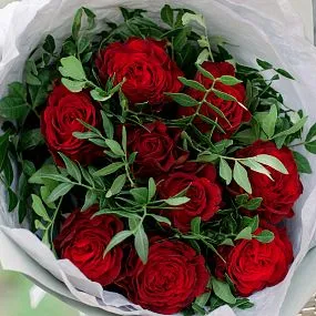 Букет из 9 красных пионовидных роз Hearts 40 см с фисташкой