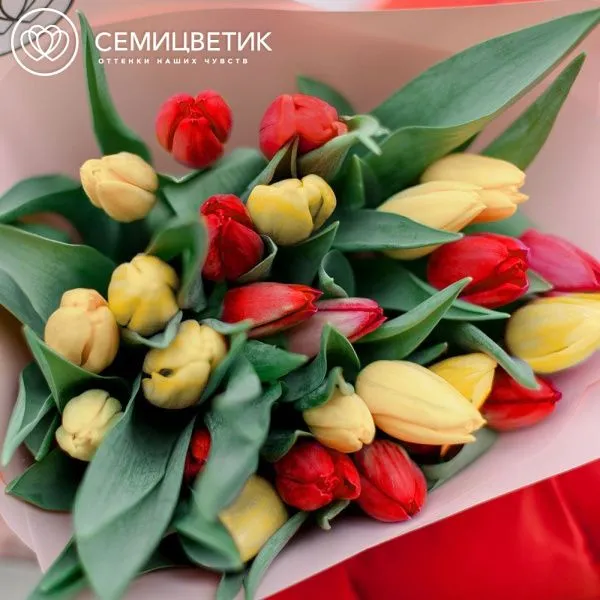 Букет из 25 желтых и красных тюльпанов 40 см
