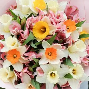 Букет из 15 нарциссов и 10 альстромерий в розовых тонах