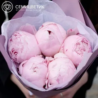 Букет из 3 розовых пионов Premium