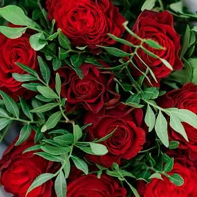 Букет из 9 красных пионовидных роз Hearts 40 см с фисташкой